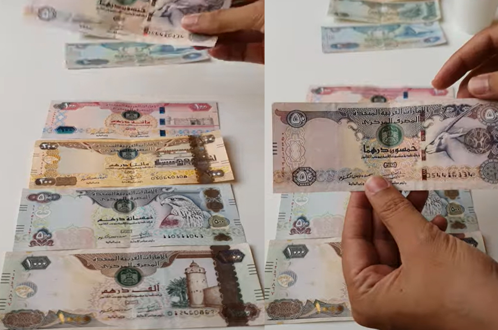 আমিরাতে আত্মসাৎ করা বিদেশি কর্মীকে ১৪ লক্ষ দিরহাম ফেরত দেওয়ার নির্দেশ