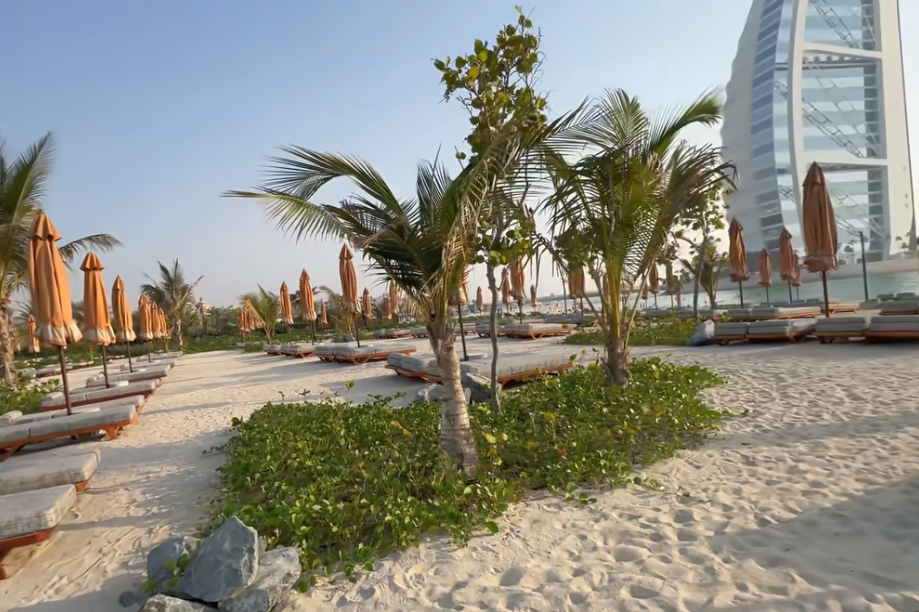 জনসৈকত সম্প্রসারণে ১৫ লক্ষ গাছ লাগাবে দুবাই