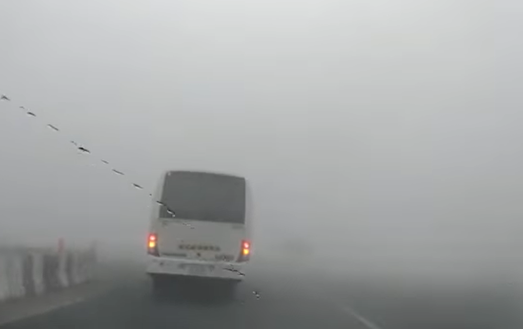 আমিরাতের কিছু অংশে ঘন কুয়াশা ও প্রায় শূন্যের কাছাকাছি দৃশ্যমানতার সতর্কতা জারি